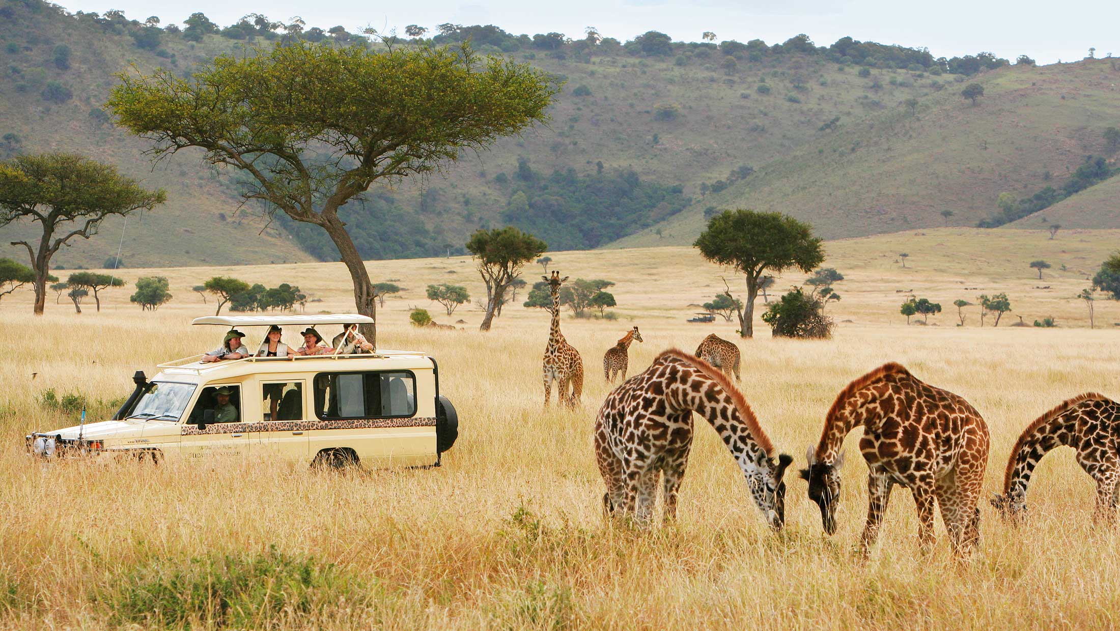 Luxury Safari Destinations for Wildlife Enthusiasts