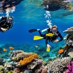 Underwater Adventures: Destinations for Snorkeling and Diving